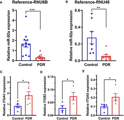 miR-92a and integrin expression in fibrovascular membranes in proliferative diabetic retinopathy